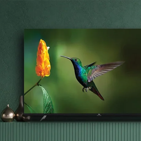 بررسی طراحی ظاهری تلویزیون های بدون قاب